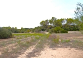 Terreno no urbanizable en venta en la España, Muro, ref: TR392924 foto