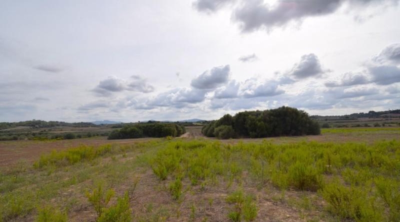 Балеарские острова - Muro - 15588m2