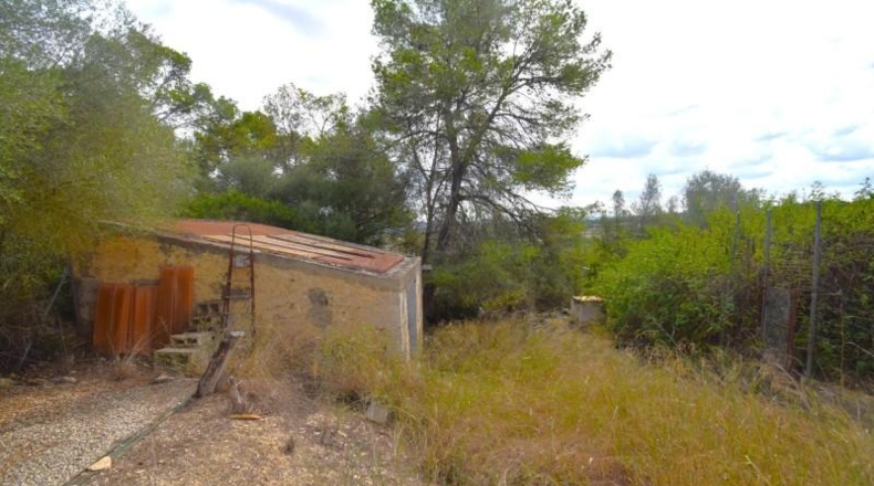 Балеарские острова - Muro - 15588m2
