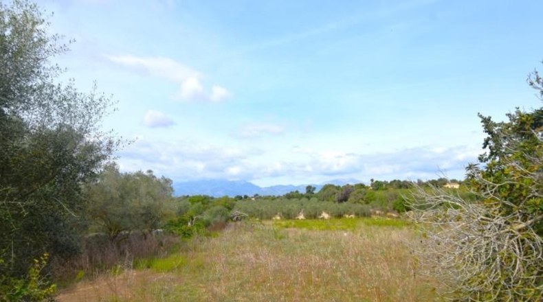 Балеарские острова - Muro - 15588m2