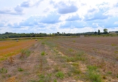 Terreno no urbanizable en venta en la España, Muro, ref: TR392990 foto