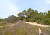 Terreno no urbanizable en venta en la España, Muro, ref: TR392990 foto