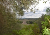 Terreno no urbanizable en venta en la España, Muro, ref: TR392990 foto