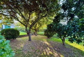 Cangas 399&nbsp;m² 