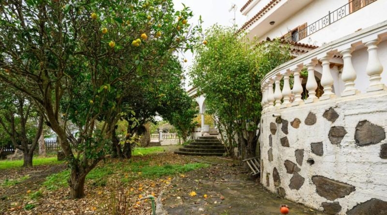 Las Palmas - Teror - 6738m2