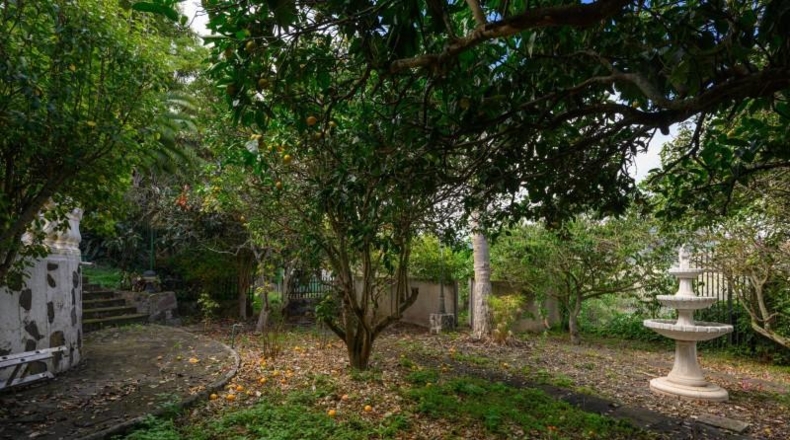 Las Palmas - Teror - 6738m2