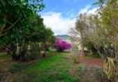 Chalet independiente con terreno en venta en la España, Teror, ref: TR354977 foto