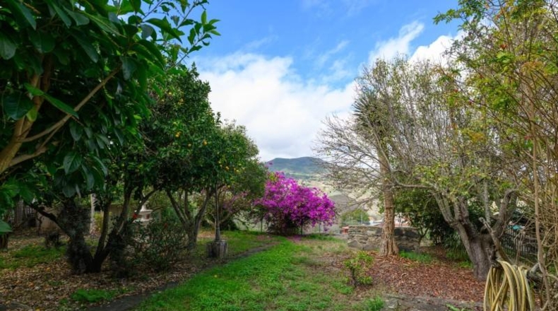 Las Palmas - Teror - 6738m2