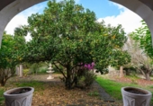Chalet independiente con terreno en venta en la España, Teror, ref: TR354977 foto