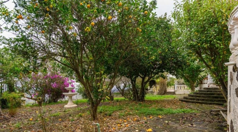 Las Palmas - Teror - 6738m2