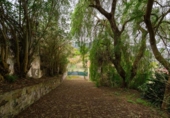 Chalet independiente con terreno en venta en la España, Teror, ref: TR354977 foto