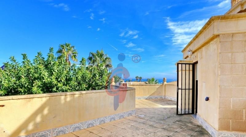 Alicante - Guardamar del Segura - 261m2