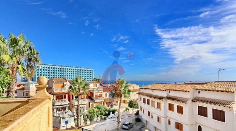 Alicante - Guardamar del Segura - 261m2