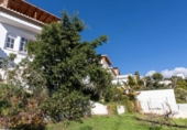 Chalet independiente con terreno en venta en la España, Almuñécar, ref: TR374694 foto