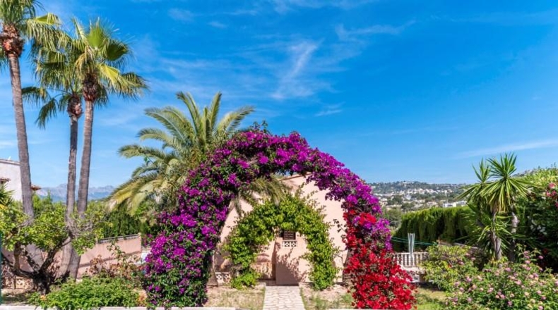 Alicante - Benissa - 846m2