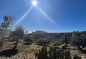 Casa de campo con terreno en venta en la España, Ingenio, ref: TR176368 foto
