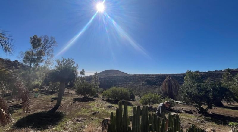 Las Palmas - Ingenio - 10070m2
