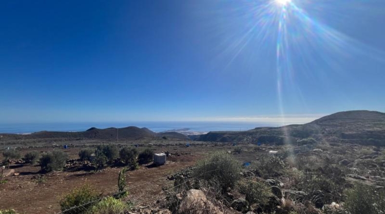 Las Palmas - Ingenio - 10070m2
