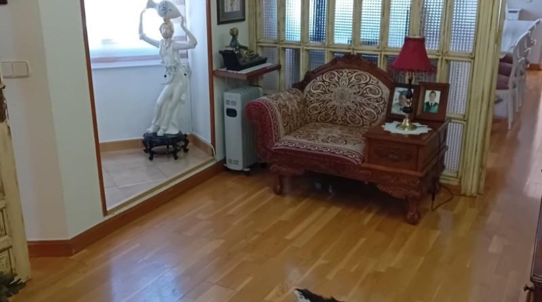 Сьюдад-Реаль - Almagro - 830m2