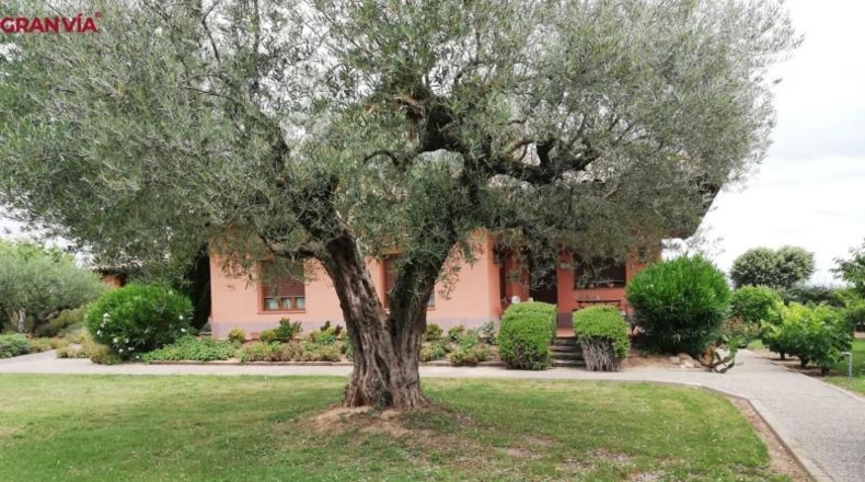 La Rioja - Albelda de Iregua - 2000m2