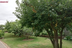 Albelda de Iregua 2000&nbsp;m² 