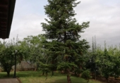 Chalet independiente con terreno en venta en la España, Albelda de Iregua, ref: TR147704 foto