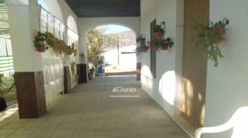 Málaga - Benaoján - 1800m2