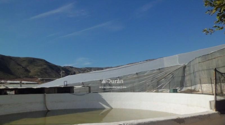 Málaga - Benaoján - 1800m2