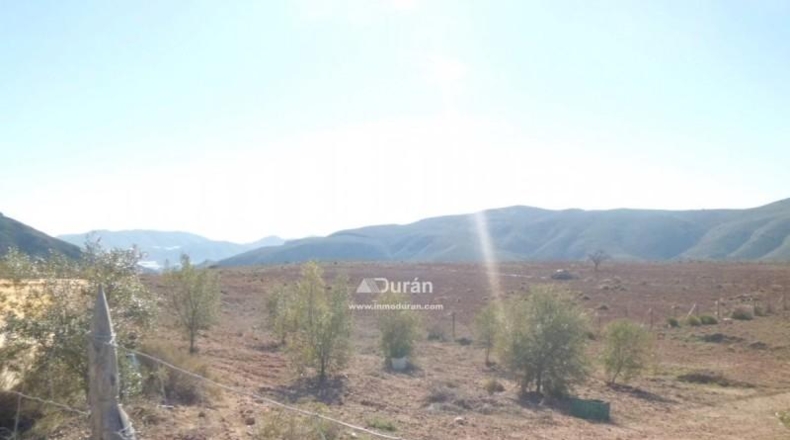 Málaga - Benaoján - 1800m2