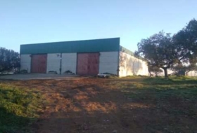 Foto 12