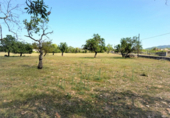 Terreno no urbanizable en venta en la España, Artà, ref: TR117648 foto
