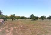 Terreno no urbanizable en venta en la España, Artà, ref: TR117648 foto