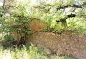 Terreno no urbanizable en venta en la España, Artà, ref: TR117648 foto