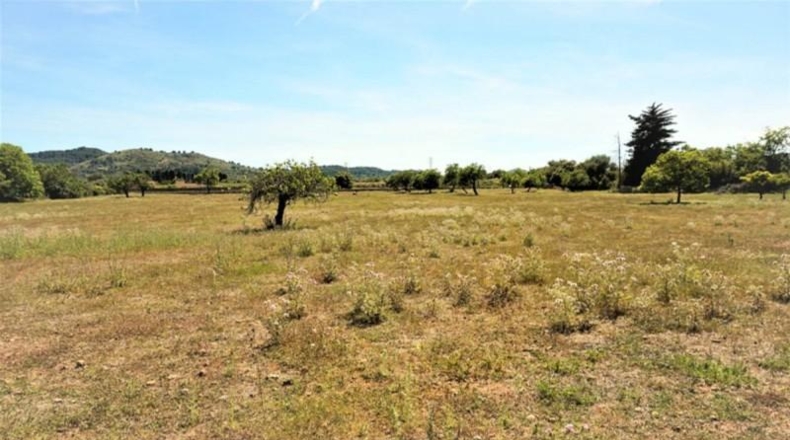 Balearic Islands - Artá - 62299m2