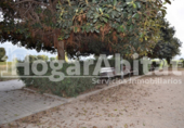 Suelo urbano en venta en la España, Silla, ref: TR340696 foto