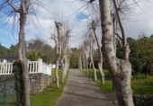 Chalet independiente con terreno en venta en la España, Cambre, ref: TR135681 foto