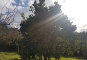 Chalet independiente con terreno en venta en la España, Cambre, ref: TR135681 foto
