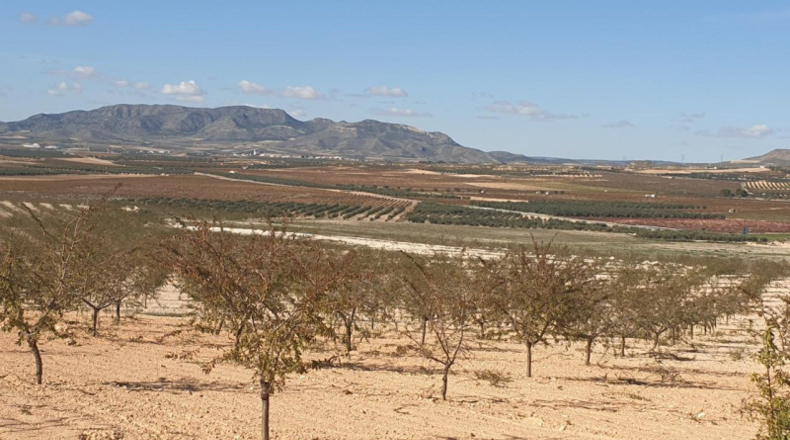 Múrcia - Jumilla - 480000m2