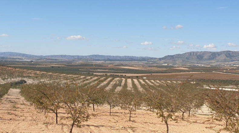 Múrcia - Jumilla - 480000m2