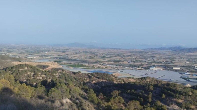 Murcia - Totana - 1420000m2
