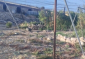 House with land for sale on España, Totana, ref: TR323158 photo
