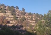 House with land for sale on España, Totana, ref: TR323158 photo