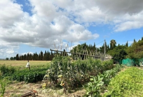Foto 12