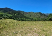 Finca rústica en venta en la España, Arcentales, ref: TR310735 foto