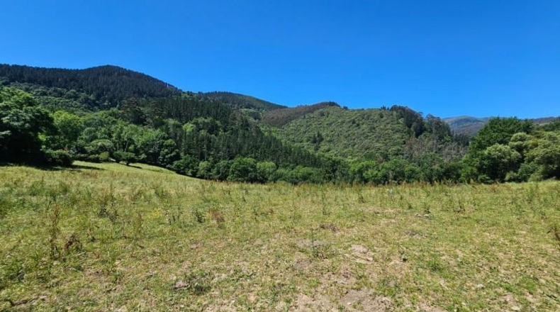 Biscaia - Olabarrieta - 10637m2