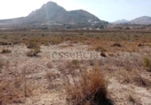 Terreno no urbanizable en venta en la España, San Vicente del Raspeig, ref: TR327424 foto