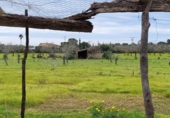 Rural estate for sale on España, Llucmajor, ref: TR398493 photo