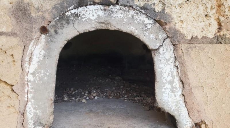 Illes Balears - Lluchmayor - 32000m2