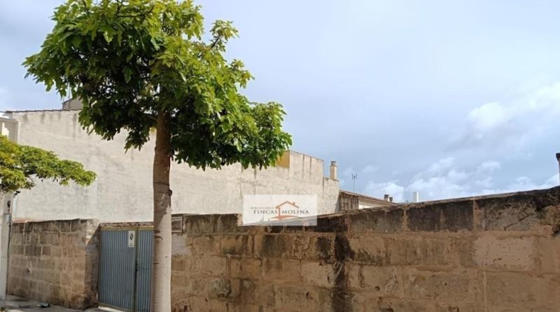 Islas Baleares - Palma - 440m2