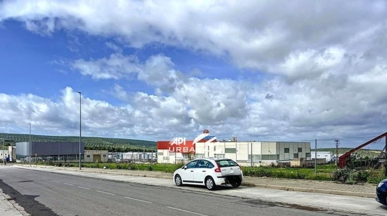 Córdoba - Lucena - 8146m2